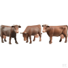  (02308) Szarvasmarha /barna/