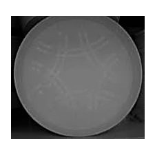  05049 PINCÉR TÁLCA 400-AS 40 CM papírárú, csomagoló és tárolóeszköz