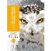  100 coloriages mystères inédits