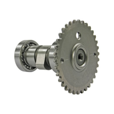 101 Octane Vezérműtengely - 139QMB/QMA 101 Octane Motor alkatrészek Vezérműtengely egyéb motorkerékpár alkatrész