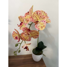  1 szálas orchidea kerámia kaspóban csíkos ajándéktárgy