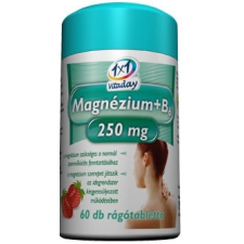 1X1 VITADAY MG+B6 250 MG RÁGÓTABLETTA 45 45 db gyógyhatású készítmény
