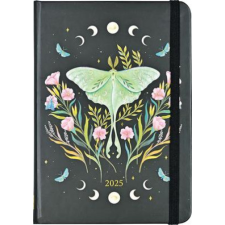  2025 Luna Moth Weekly Planner (16 Months, Sept 2024 to Dec 2025) naptár, kalendárium