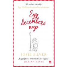 21. század Egy decemberi nap regény