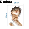  3D Cica Matrica