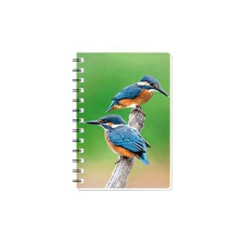 3D Jégmadarak spirálos notesz - 13,5x10 füzet