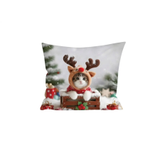  3D mikroszálas párnahuzat RUDOLPH KITTEN 45x45 cm, színes lakástextília