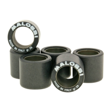46 Malossi HT variátor görgőszett 25x22mm - 24.0g egyéb motorkerékpár alkatrész