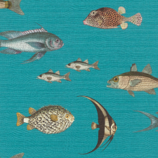  553536 Tapéta (Onszelf Stories 2024) tapéta, díszléc és más dekoráció