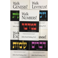 ... 5 Jeffrey Enoch Feinberg book - The Walk Set - antikvárium - használt könyv