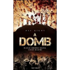  A domb