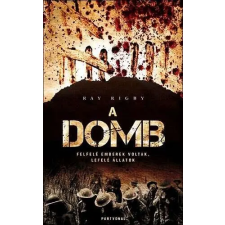  A domb regény