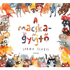  A macskagyűjtő gyermek- és ifjúsági könyv