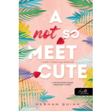  A Not So Meet Cute - A (nem is olyan) nagy találkozás irodalom