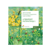 A természet matematikája 5-7 éveseknek CD