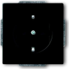 ABB 2CKA002013A5333 Készülék betét IP20 Mélyfekete (RAL 9005), Fekete (2CKA002013A5333)