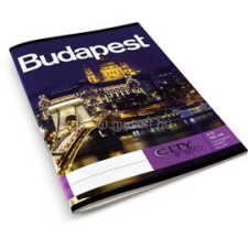 Absolut City By Night A5 36-16 hangjegyfüzet (ACB3616) füzet