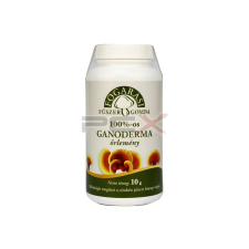 Acer Fogarasi ganoderma Őrlemény 10g vitamin és táplálékkiegészítő