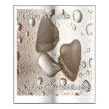 Adamo Books Karácsonyi találkozás regény