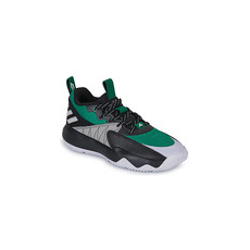 Adidas Kosárlabda DAME CERTIFIED Fekete 44