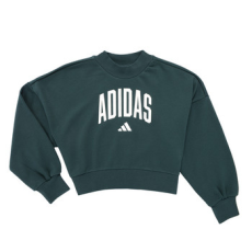 Adidas Pulóverek Seasonals Essentials Collegiate Typography Crewneck Sweatshirt K Zöld 7 / 8 éves