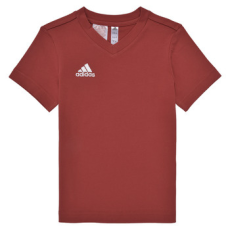Adidas Rövid ujjú pólók ENT22 TEE Y Piros 9 / 10 éves