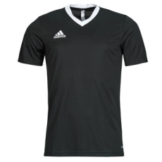 Adidas Rövid ujjú pólók Entrada 22 Jersey Fekete EU XL