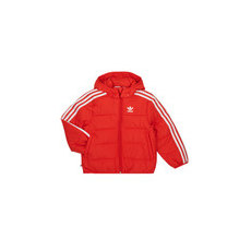 Adidas Steppelt kabátok PADDED JACKET Piros 5 / 6 éves