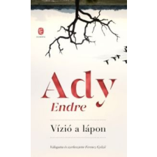 Ady Endre Vízió a lápon irodalom