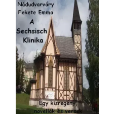AGENDA A Sechsisch Klinika egyéb e-könyv