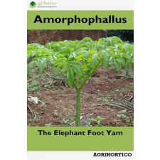 Agrihortico Amorphophallus egyéb e-könyv