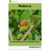 Agrihortico Mulberry