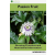 Agrihortico Passion Fruit