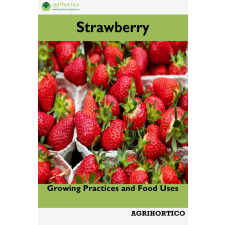 Agrihortico Strawberry egyéb e-könyv