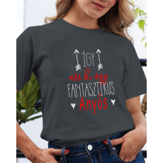  Ajándék anyósnak - Fantasztikus anyós póló