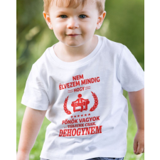  Ajándék főnöknek - Vicces feliratos gyerek póló gyerek póló