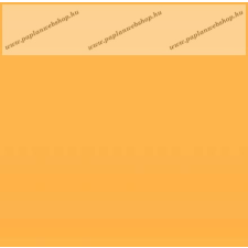  Akciós Jersey gumis lepedő, 90-100x200 cm, Orange (140 g/m2) lakástextília