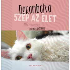 Alexandra Kiadó Dorombolva szép az élet - Magyarország legaranyosabb cicái - 365 gondolat egyéb könyv