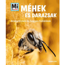 Alexandra Rigos Alexandra Rigos: Méhek és darazsak - Mi MICSODA (Aranyló méz és hegyes fullánkok) gyermek- és ifjúsági könyv