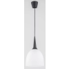Alfa Alfa UNINO 60629 Függőlámpa 1x60W/E27 IP20