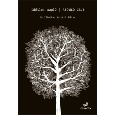 Alfonso Cruz - Időtlen napló gyermek- és ifjúsági könyv