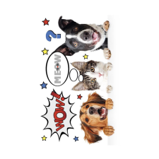 Állatos Furry Friends A/4 gumis mappa mappa