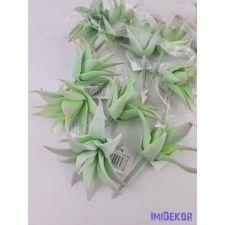 Aloe vera gumis pozsgás 8,5 cm - Hamvas dekorációs kellék