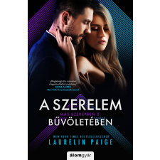 Álomgyár. A szerelem bűvöletében regény