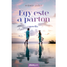 Álomgyár. Egy este a parton regény