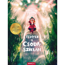 Álomgyár Kiadó David Litchfield - Fények a Csoda-sziklán gyermek- és ifjúsági könyv