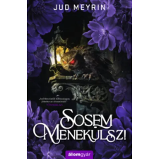 Álomgyár Kiadó Sosem menekülsz! | Jud Meyrin egyéb könyv