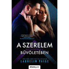 Álomgyár. Laurelin Paige - A szerelem bűvöletében regény