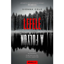 Álomgyár. Lefelé a folyón regény