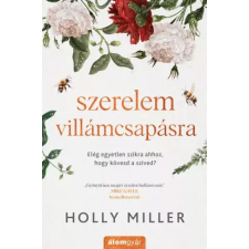 Álomgyár. Szerelem villámcsapásra egyéb e-könyv